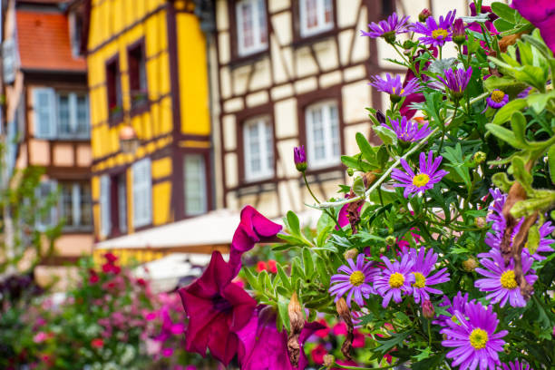 Visiting the beautiful center of Colmar and its beautiful colorful half timbered houses