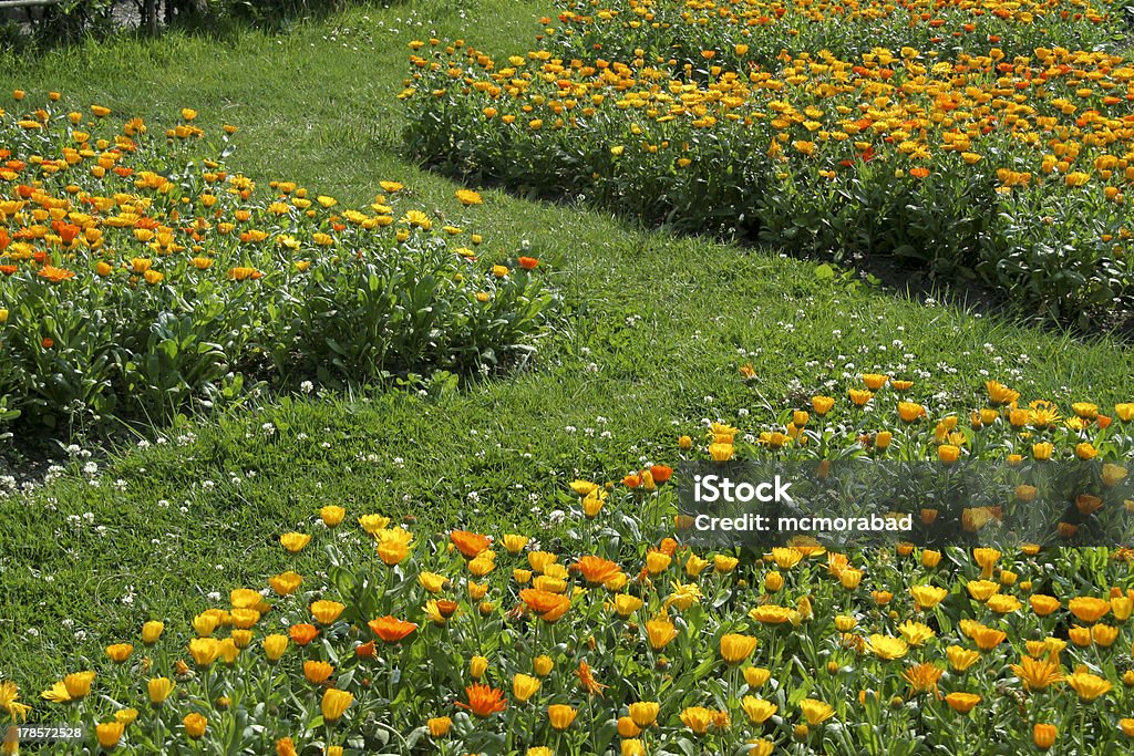 Blumen-Bett - Lizenzfrei Baumblüte Stock-Foto