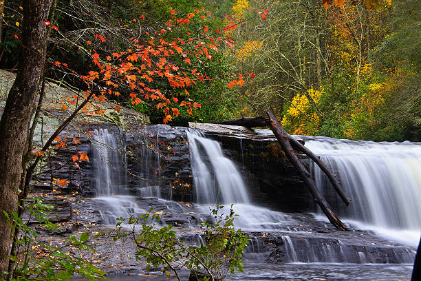 フッカー滝、ノースカロライナ州 - dupont state forest ストックフォトと画像