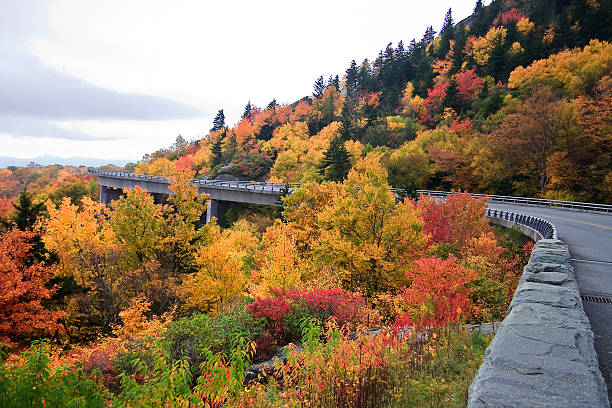 istock Linn Cove Viaduct in North Carolina 178573606