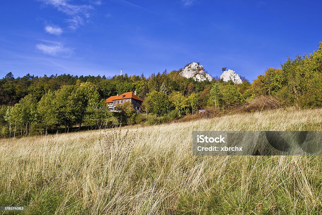 Splendida natura paesaggio di montagna Kalnik - Foto stock royalty-free di Agricoltura