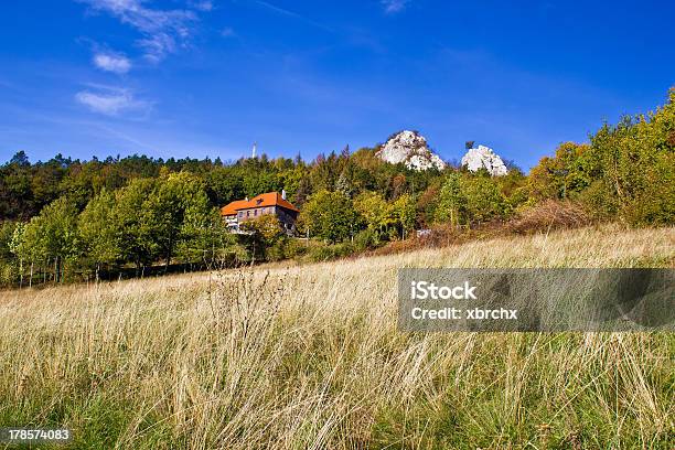 Splendida Natura Paesaggio Di Montagna Kalnik - Fotografie stock e altre immagini di Agricoltura - Agricoltura, Albero, Ambientazione esterna