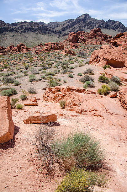 Árido paisaje del desierto cerca de Las Vegas en Nevada - foto de stock