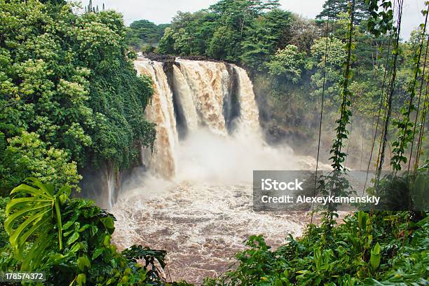 Rainbow Falls Na Hawajach - zdjęcia stockowe i więcej obrazów Hilo - Hilo, Drzewo, Fotografika