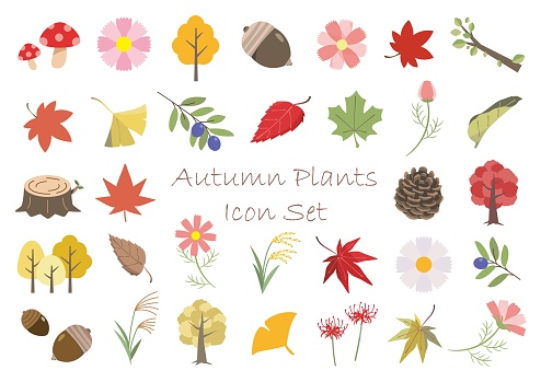 Autumn plants cute icon set