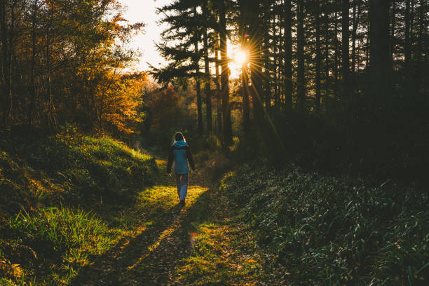istock Lone woman walking in forest 1785752782