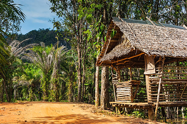 istock hut on the road in jungle 178575425