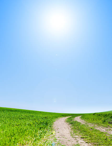 istock image of green grass field  and clear blue sky 178575864