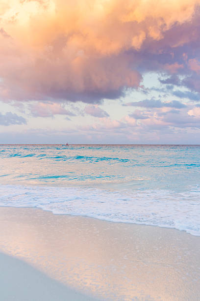 istock Beach of the Caribbean Sea 178576130