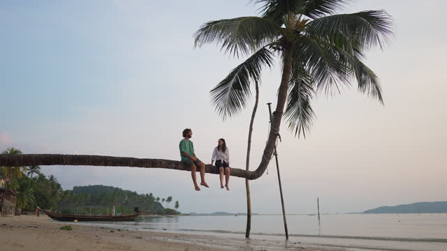 Man and woman on bent coconut palm tree
