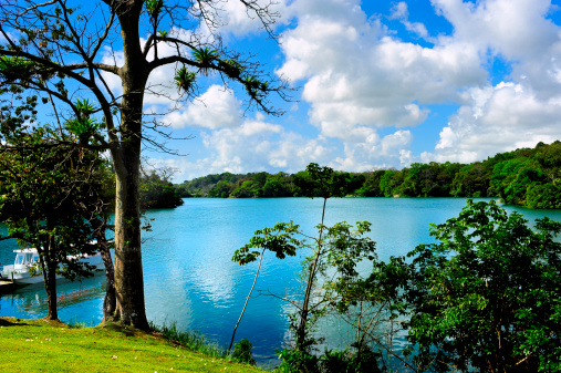 Gatun lake near the Panama canal