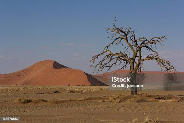 Sossusvlei Stock Photo - Download Image Now - Absence, Adventure, Africa