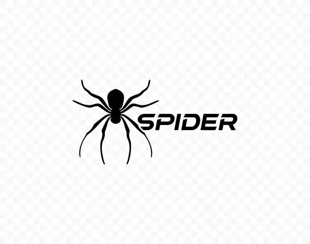 Vector illustration of Spider graphic design. Spider sits on the web vector design