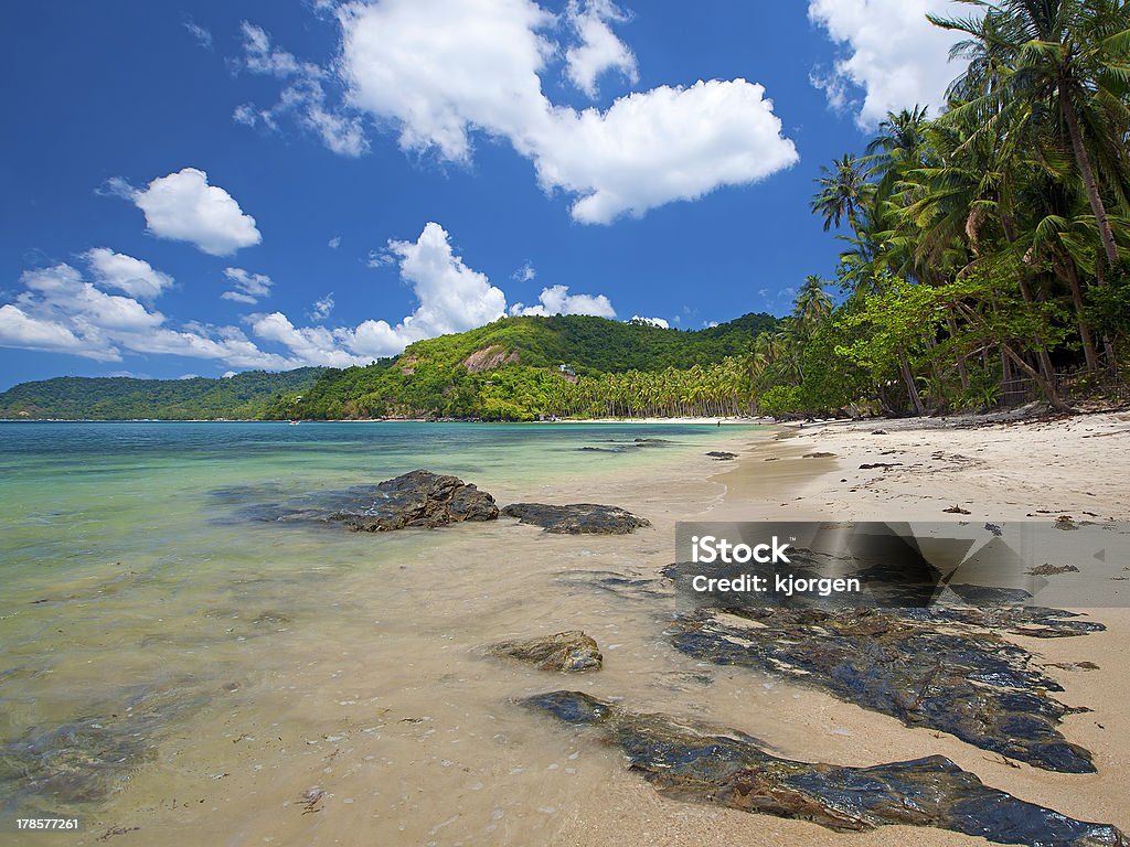 El Nido - Foto stock royalty-free di Albero