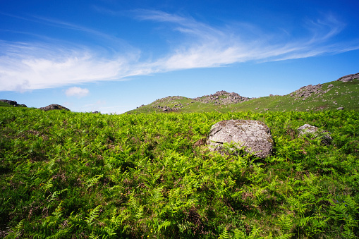 Photo of a landscape in the Peneda-Gerêz National Park in the Minho district, North of Portugal.