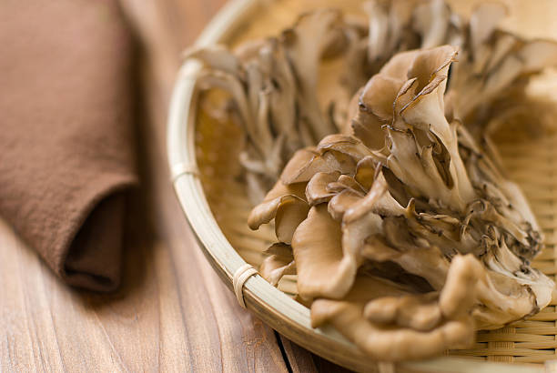 2,400+ Maitake Mushroom Stock Photos and Royalty-Free Pictures