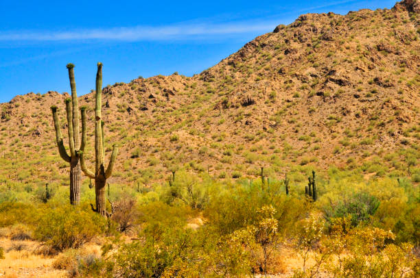 istock San Tan Mountains Sonora Desert Arizona 1785792072