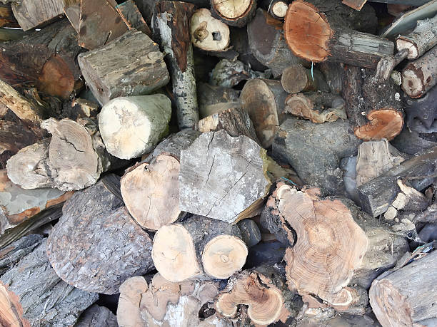 istock Firewood combined in a woodpile 178579399