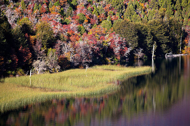 осень в горы патагонии - bariloche argentina andes autumn стоковые фото и изображения