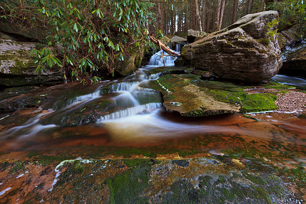 Beautiful rocky sundown forest river cascades summer day nobody