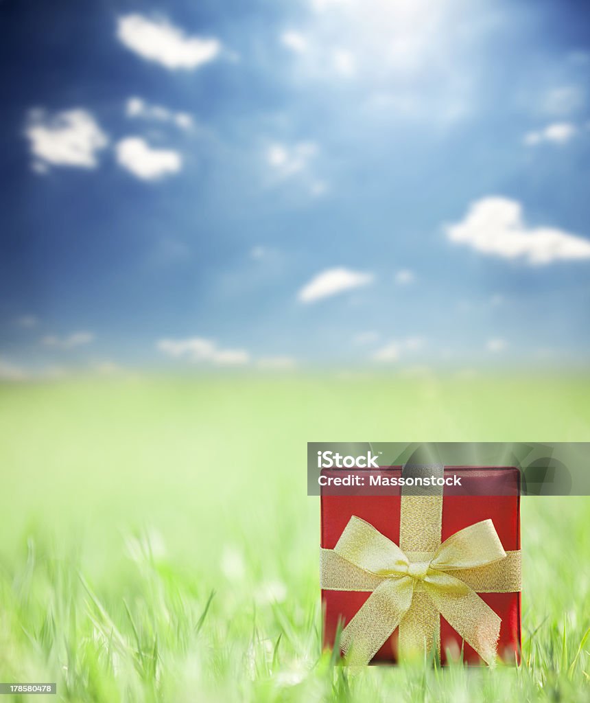 Present on grassy background Present on grassy background. Backgrounds Stock Photo