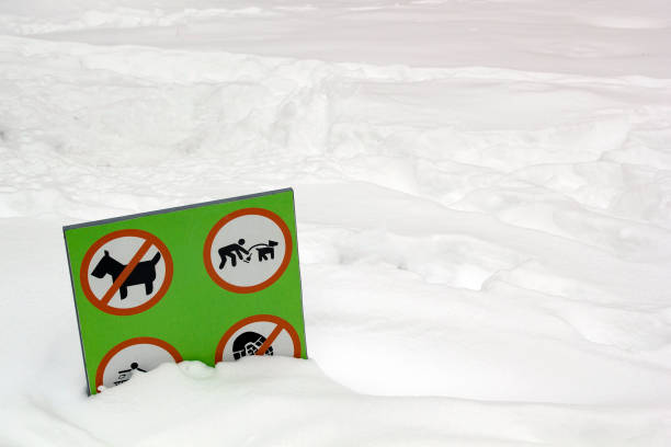 istock Pick up after your dog sign in white snow background 1785809996