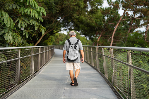 Back view of old man with backpack on pedestrian bridge in park