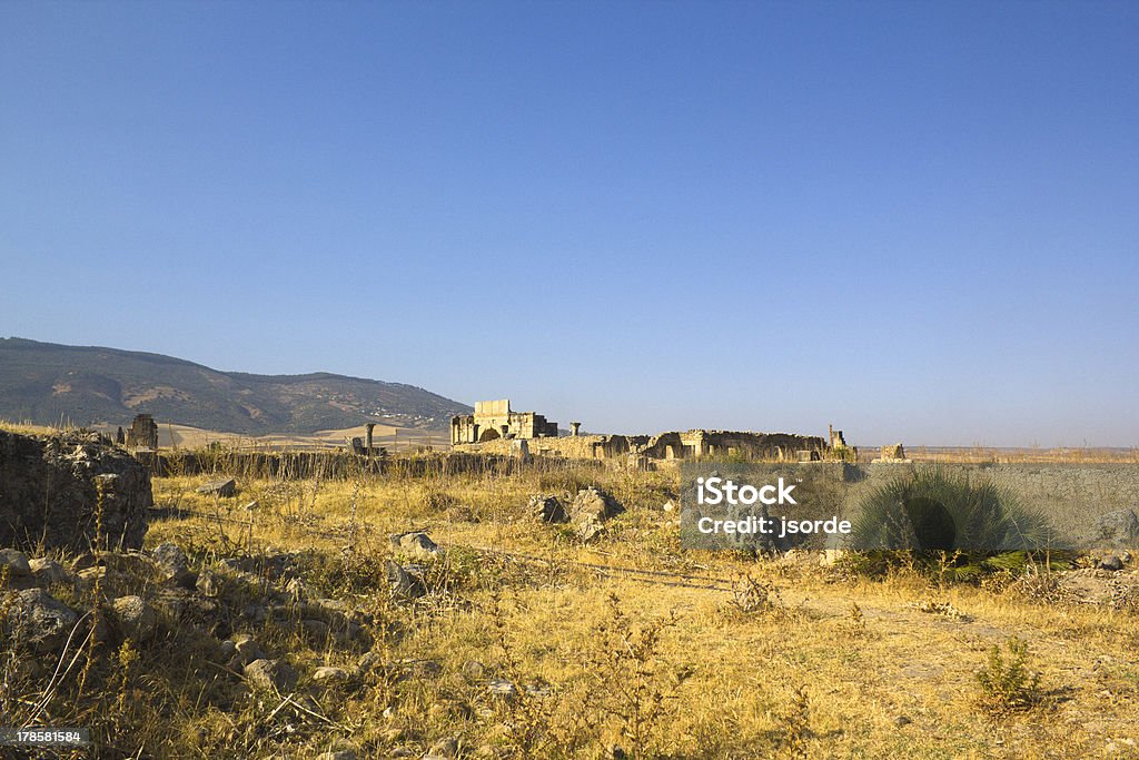 Ruiny Volubilis - Zbiór zdjęć royalty-free (Kolumna architektoniczna)