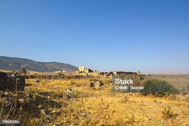 Ruiny Volubilis - zdjęcia stockowe i więcej obrazów Kolumna architektoniczna - Kolumna architektoniczna, Kultura grecka, Mozaika