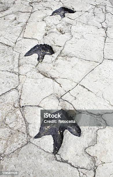 Huellas De Dinosaurios Prehistórica Foto de stock y más banco de imágenes de Dinosaurio - Dinosaurio, Pisada, Recortable