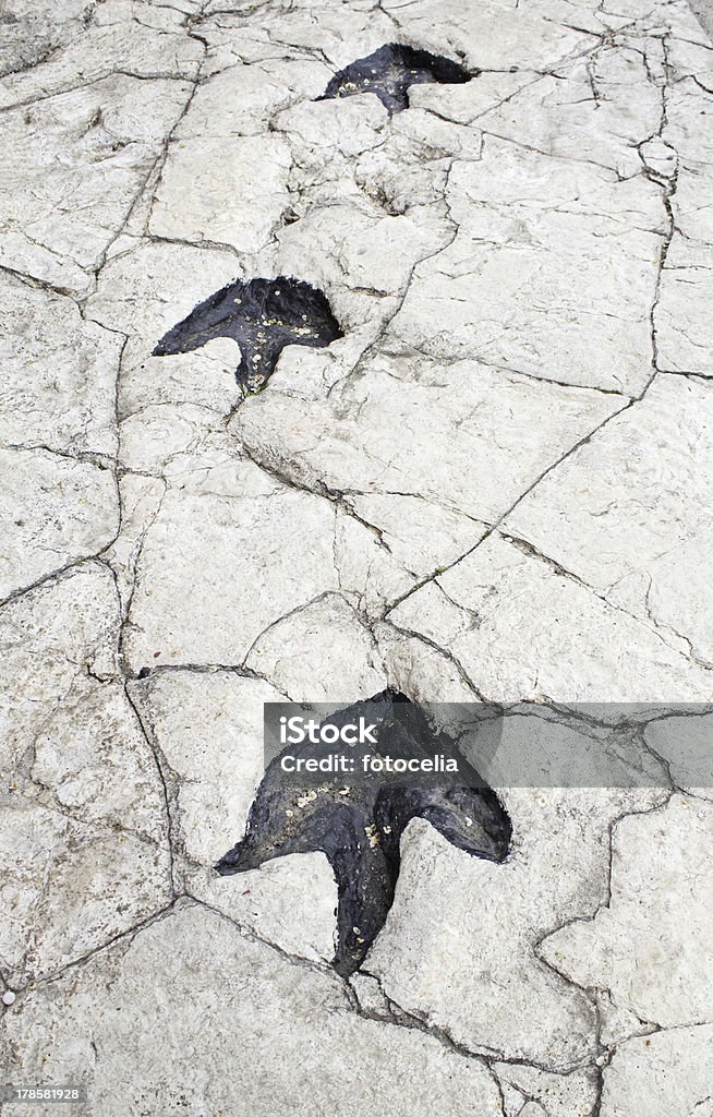 Pré-dinossauro footprints - Royalty-free Dinossauro Foto de stock