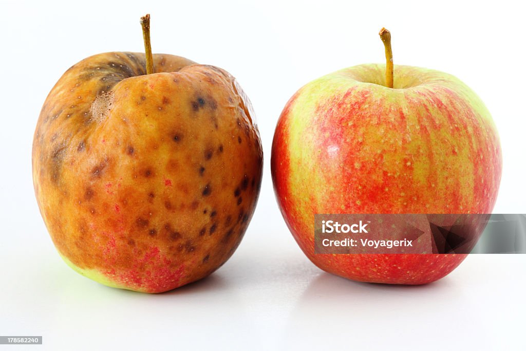 apple mimados em fundo branco saudável e Maçã podre - Foto de stock de Equimose royalty-free