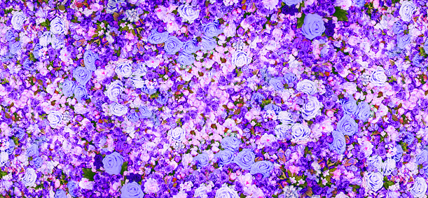 Many blooming flower lilac color backdrop for product presentation