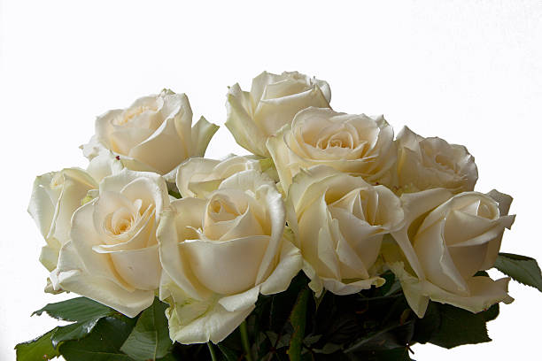 istock Bouquet of Roses 178583476