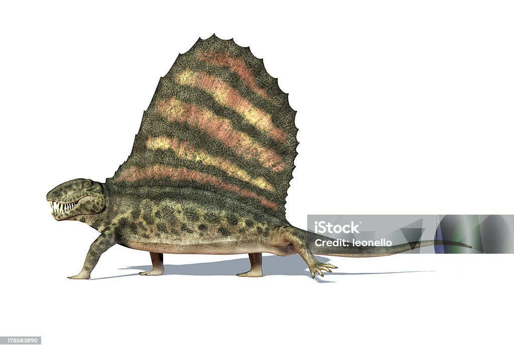 Dimetrodon dinosauro. Su sfondo bianco con ombra e clipping path. - Foto stock royalty-free di Dinosauro