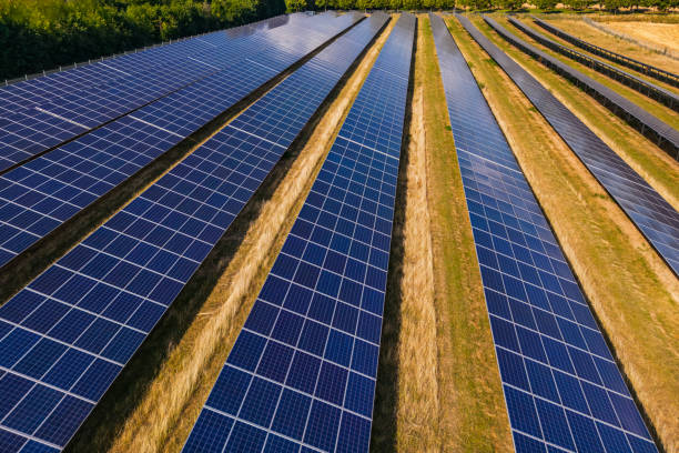 istock Field with solar technology to generate electricity when the sun shines 1785849084