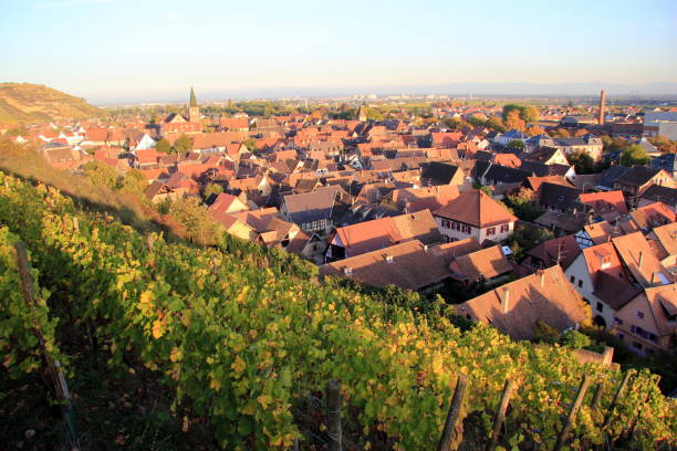 istock Turckheim, city of Alsace 178584969