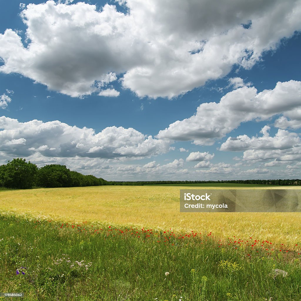 dramatic clouds over fields Agriculture Stock Photo