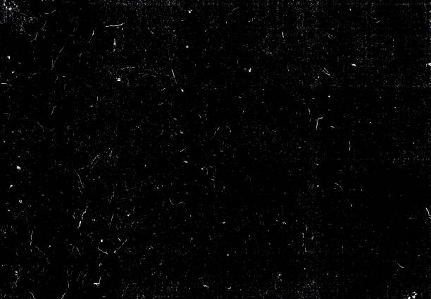 istock A black and white background with an intricate pattern of contrasting grass blades. 1785851000