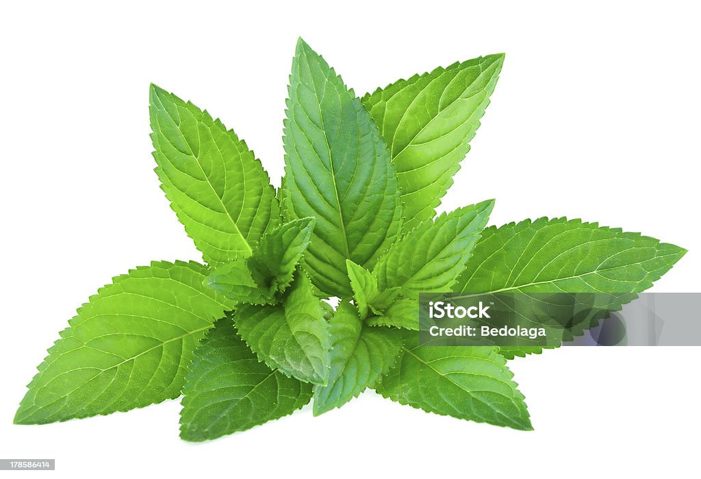 Fresh green mint isolated on white Close-up Stock Photo