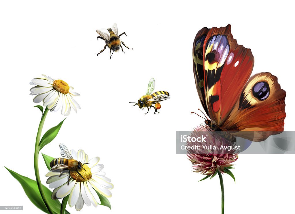 Butterfly, daisy, and Bees, Isolated Illustration on white background Bee stock illustration