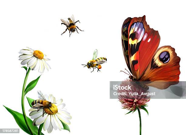 Butterfly Daisy And Bees Isolated Illustration On White Background Stock Illustration - Download Image Now