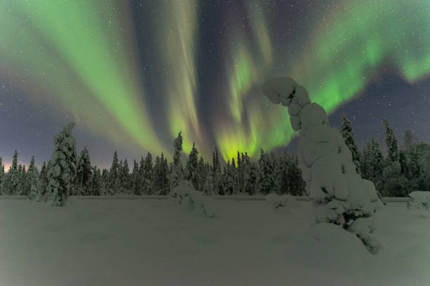 istock Pine trees covered with snow and ice under northern lights, Finland 1785874828
