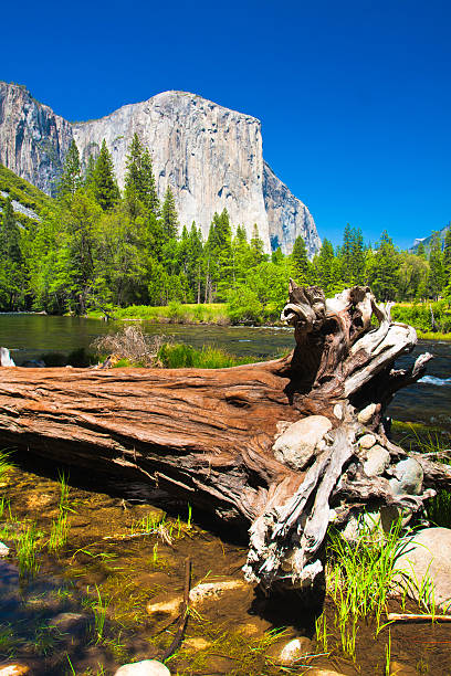 yosemite national park, kalifornien - natural phenomenon waterfall rock tranquil scene stock-fotos und bilder