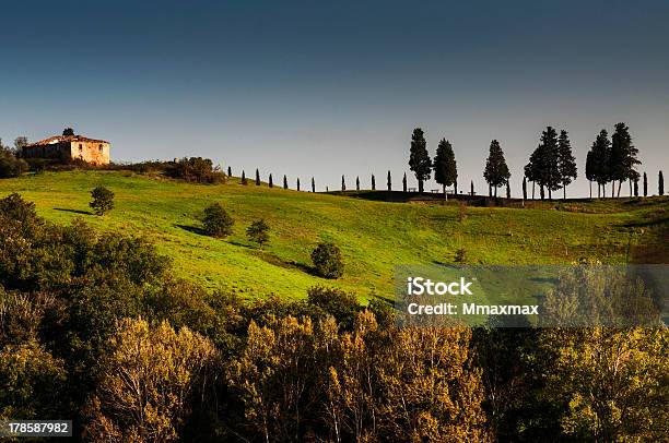 Casa E Cypresses Toscana - Fotografie stock e altre immagini di A forma di croce - A forma di croce, Agricoltura, Alba - Crepuscolo