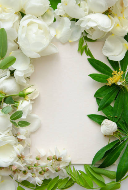 istock Delicate composition with white roses and petals with acacia flowers on white background. Wedding concept. Invitation card template 1785883193