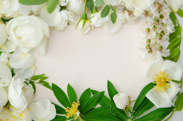 istock Delicate composition with white roses and petals with acacia flowers on white background. Wedding concept. Invitation card template 1785883339