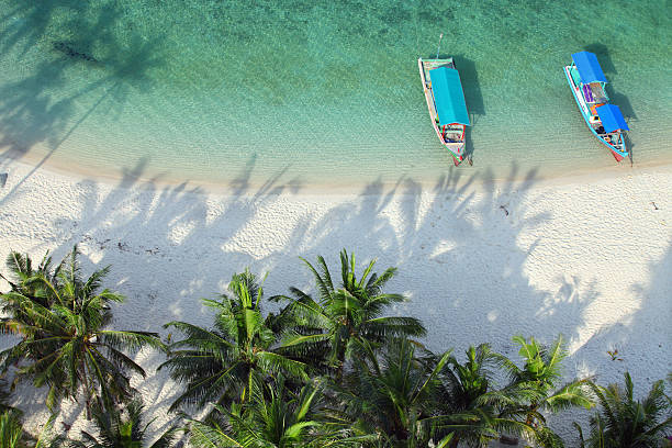 aerial shot of tropical beach