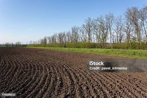 Photo libre de droit de Ressources Field banque d'images et plus d'images libres de droit de Affaires - Affaires, Agriculture, Arbre