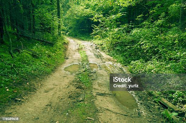 Photo libre de droit de Forest Route banque d'images et plus d'images libres de droit de Boue - Boue, Chemin de terre, Couleur verte